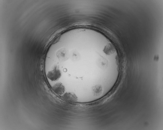 X0000114080929200910050956