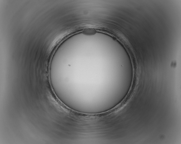 X0000114080930200910050956
