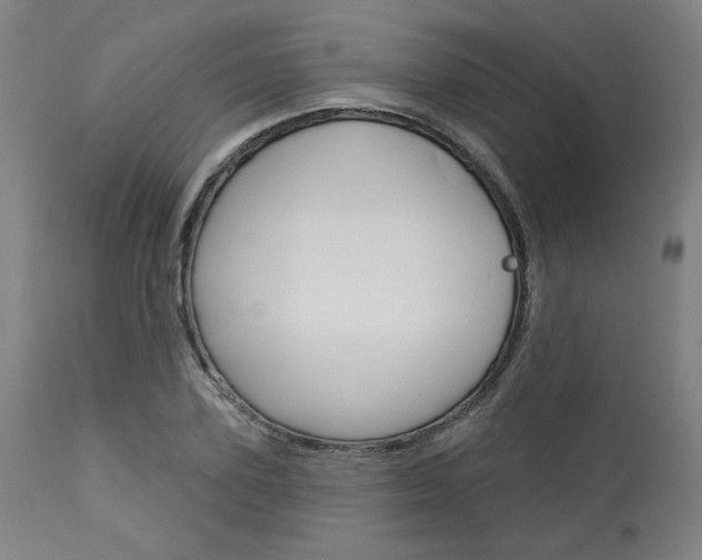 X0000114080931200910050956