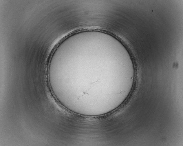 X0000114080933200910050956