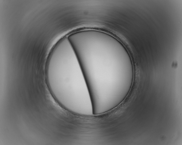 X0000114080935200910050956