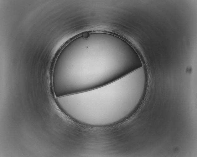 X0000114080936200910050956