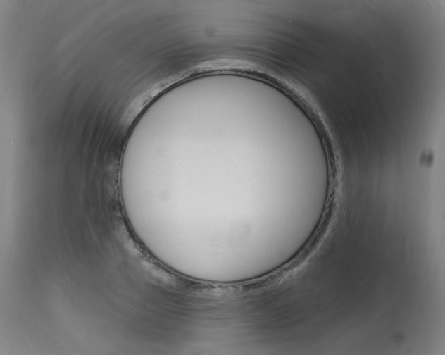X0000114080937200910050956