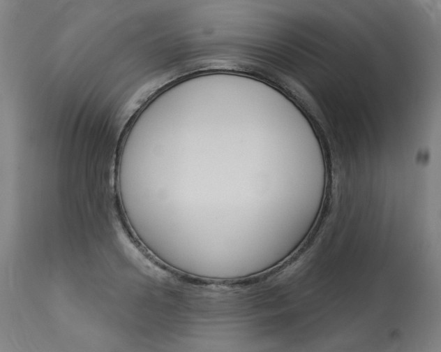 X0000114080938200910050956