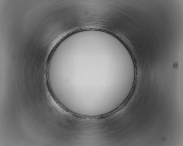 X0000114080941200910050956