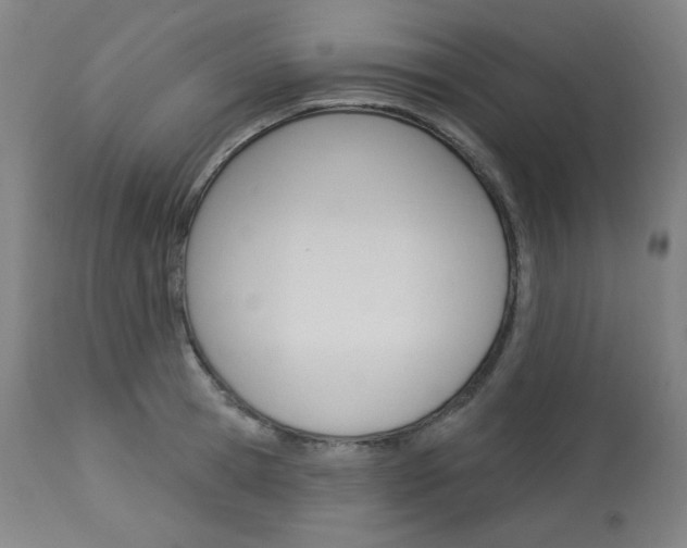 X0000114080945200910050956
