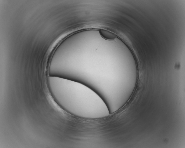 X0000114080947200910050956