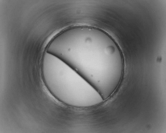 X0000114080949200910050956