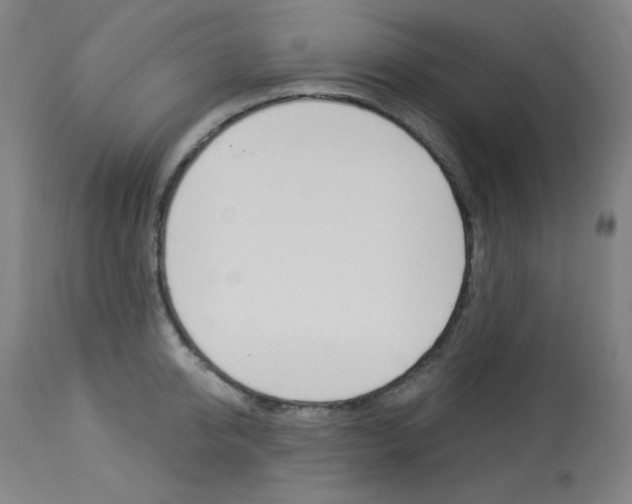 X0000114080950200910050956