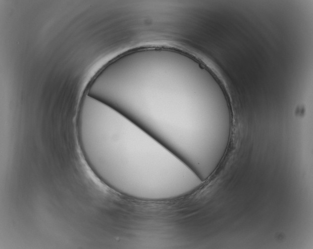 X0000114080951200910050956
