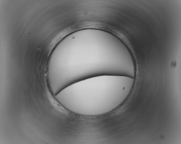 X0000114080954200910050956
