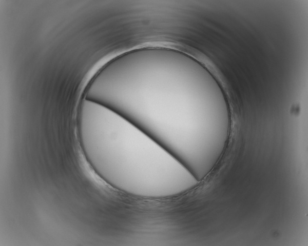 X0000114080955200910050956