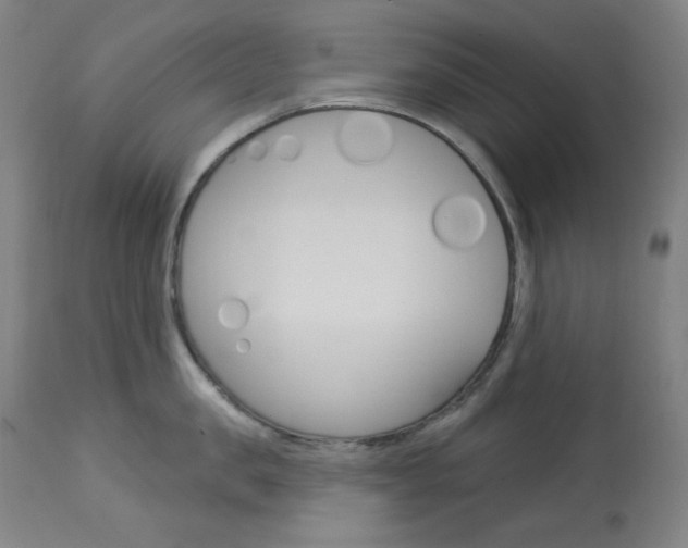 X0000114080957200910050956