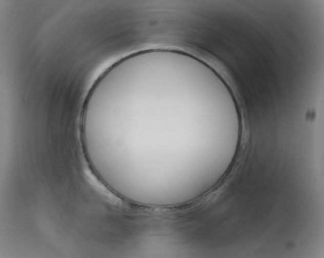 X0000114080958200910050956