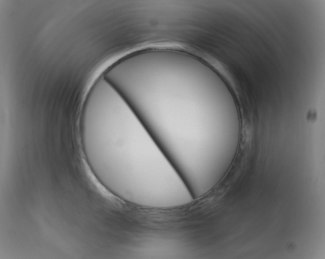X0000114080959200910050957