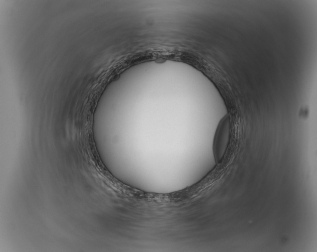 X0000114080961200910050956