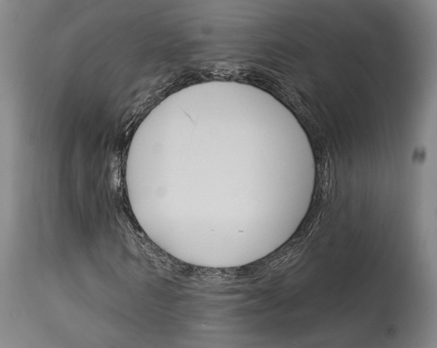 X0000114080962200910050956