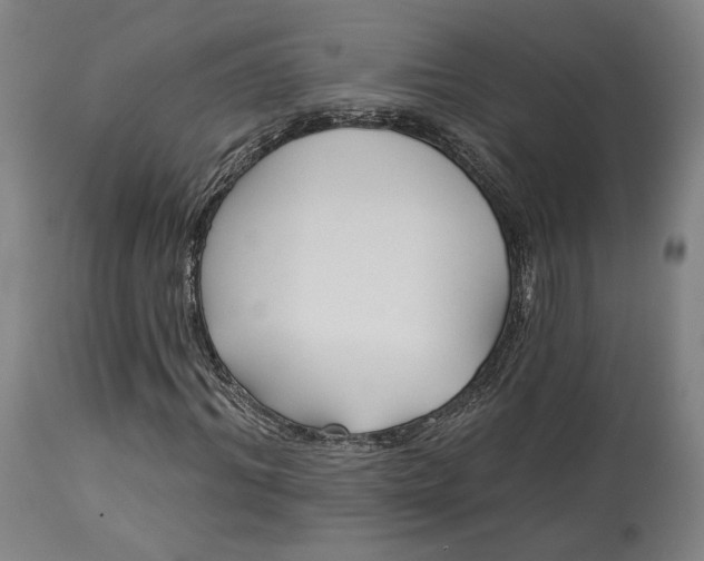 X0000114080964200910050956