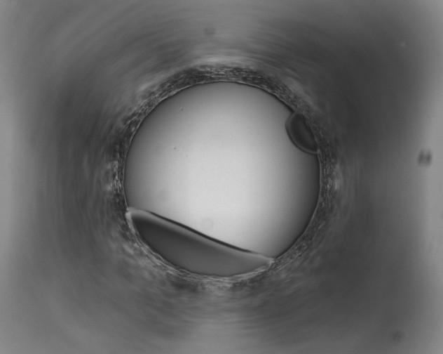 X0000114080965200910050956