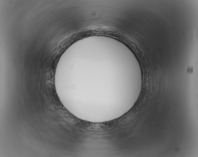X0000114080966200910050956