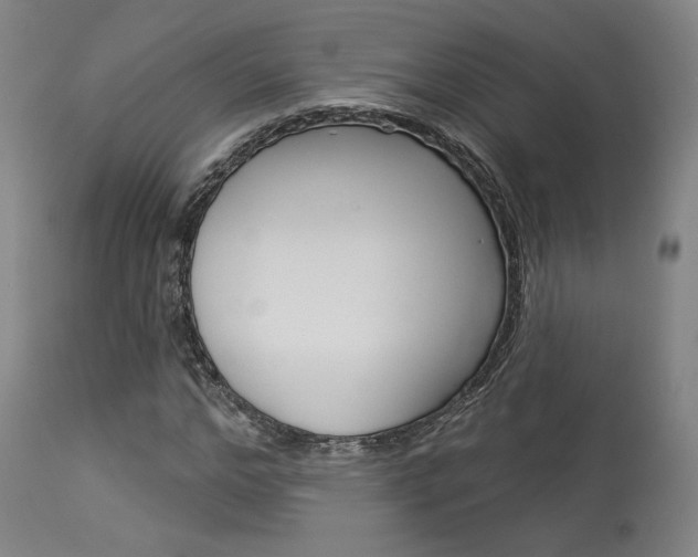 X0000114080968200910050956
