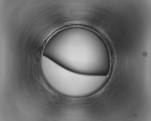 X0000114080969200910050956