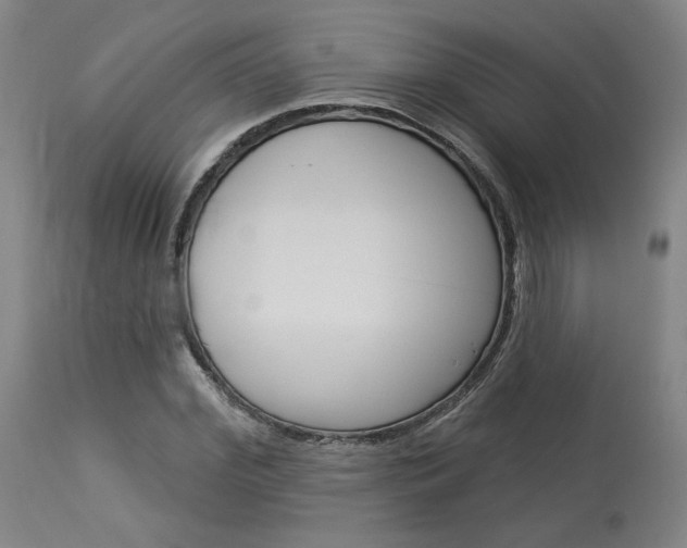 X0000114080972200910050956