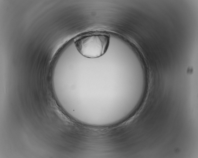 X0000114080973200910050956