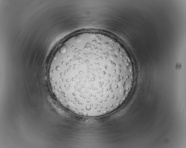 X0000114080974200910050956