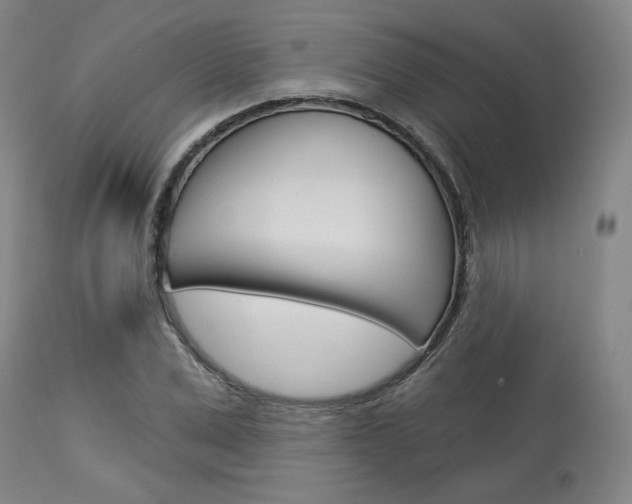X0000114080975200910050955