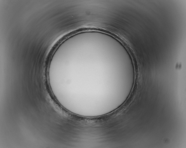 X0000114080976200910050955