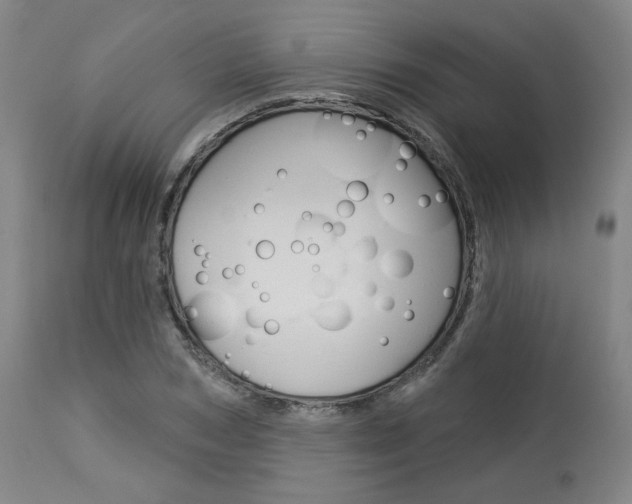 X0000114080978200910050955