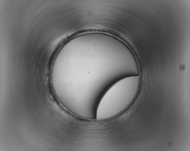 X0000114080979200910050955