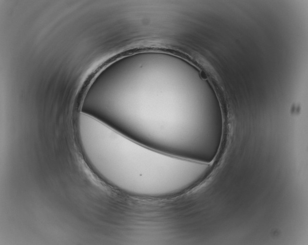 X0000114080981200910050955