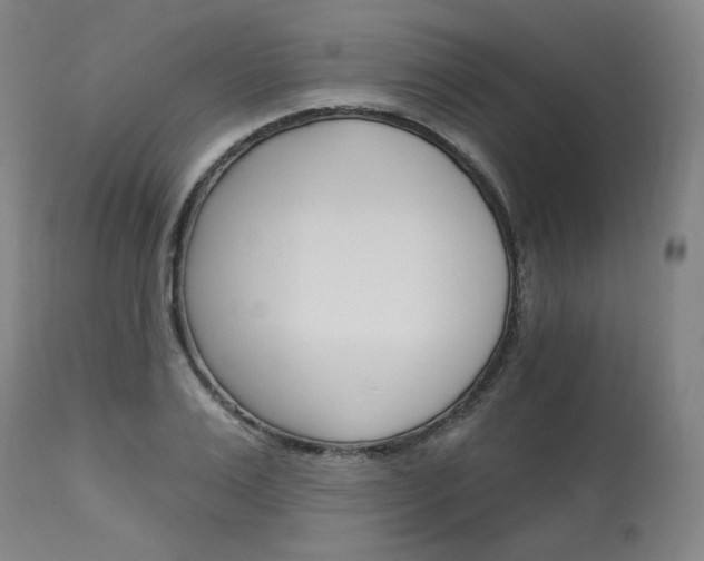 X0000114080983200910050955