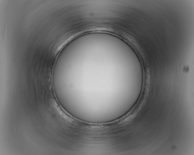 X0000114080985200910050955