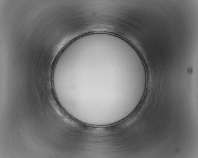 X0000114080986200910050955