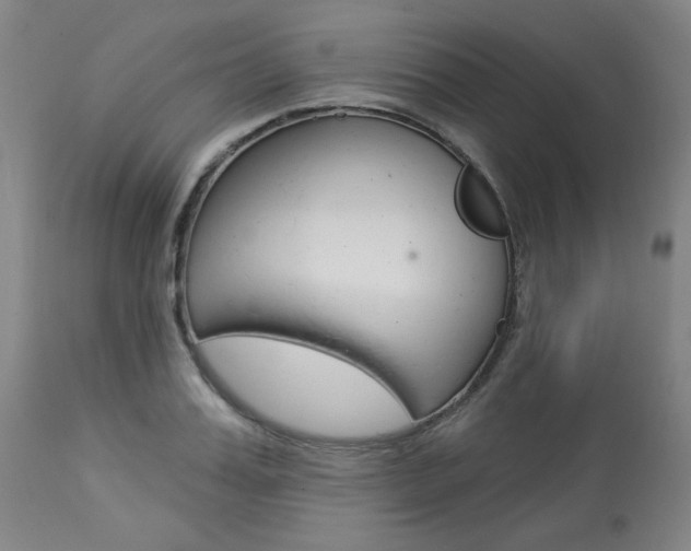 X0000114080987200910050955
