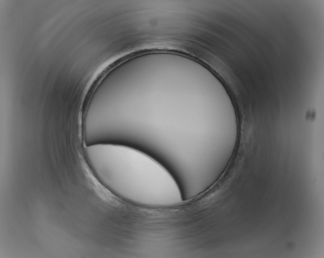 X0000114080988200910050955