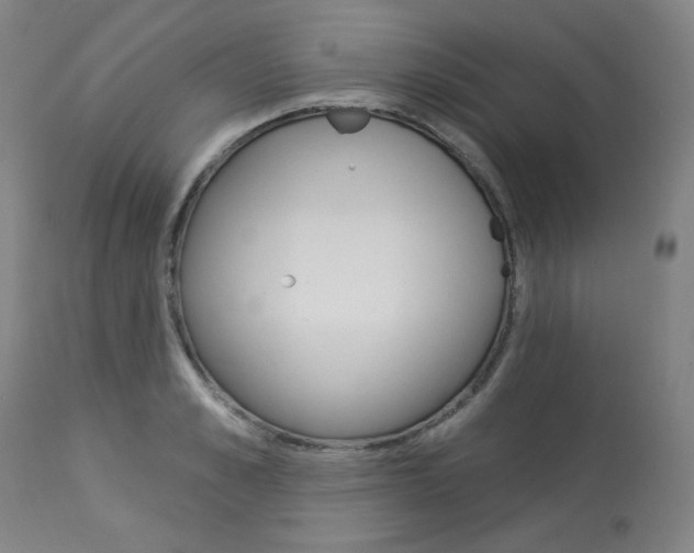 X0000114080989200910050955