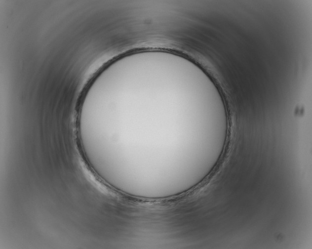 X0000114080990200910050955