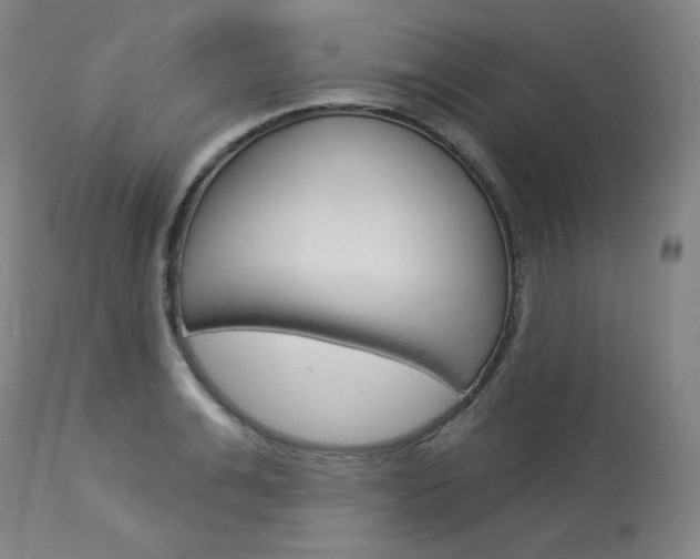 X0000114080991200910050955