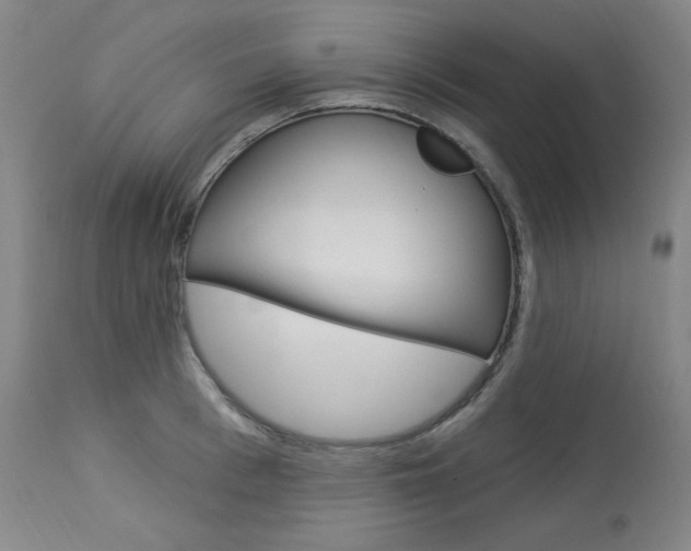 X0000114080993200910050955