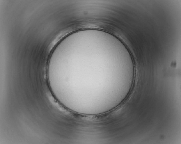 X0000114080994200910050955