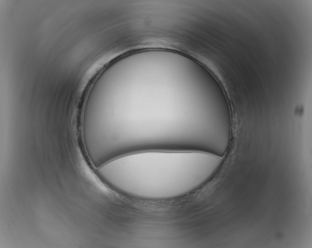 X0000114080995200910050955