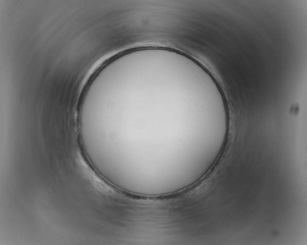 X0000114080996200910050955