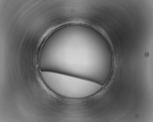 X0000114080997200910050955
