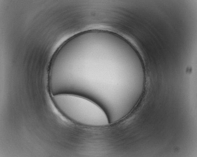 X0000114080999200910050955