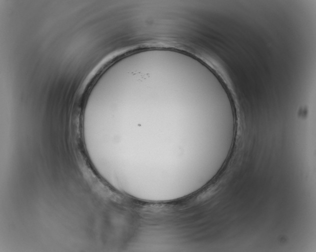 X0000114081000200910050955