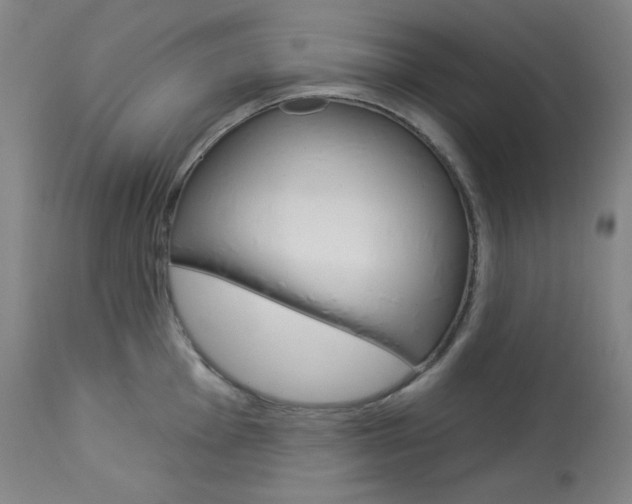 X0000114081001200910050955
